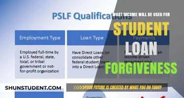 Understanding Income Eligibility for Student Loan Forgiveness Programs