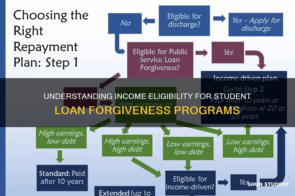 what income will be used for student loan forgiveness