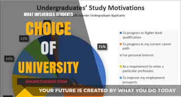 Factors Influencing Student's University Choice Decisions