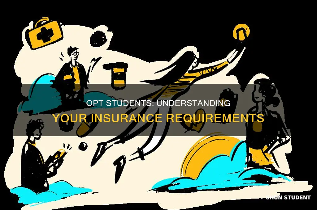 what insurance does opt students have to pay