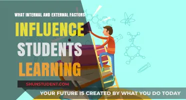 Student Learning Influencers: Internal vs External Factors