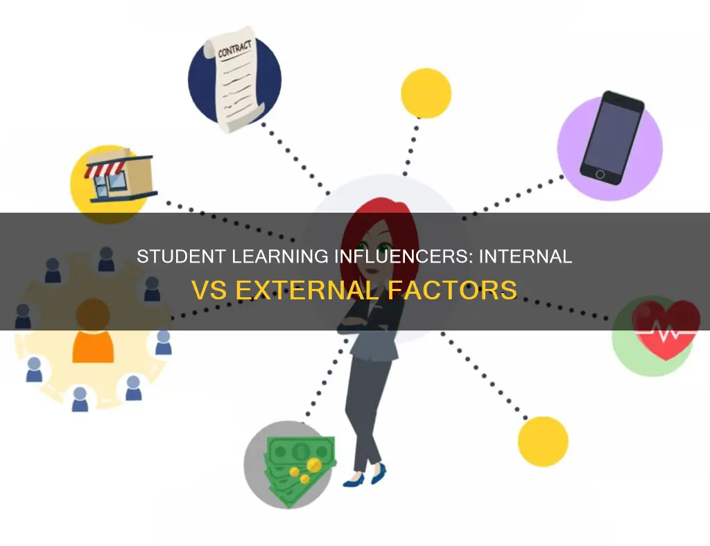 what internal and external factors influence students learning