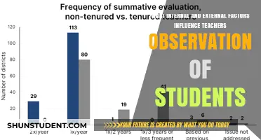 Influencing Factors: Teachers' Observations of Students