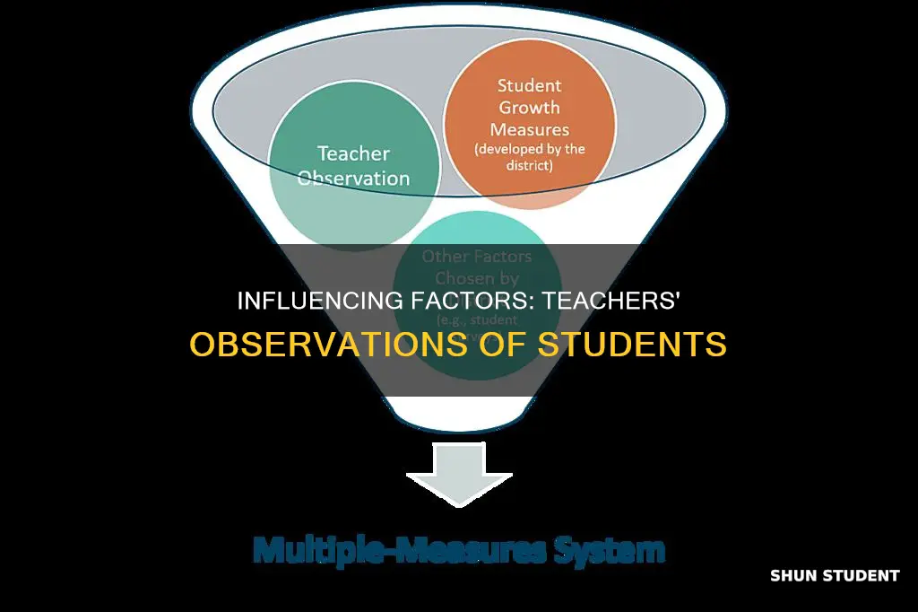 what internal and external factors influence teachers observation of students