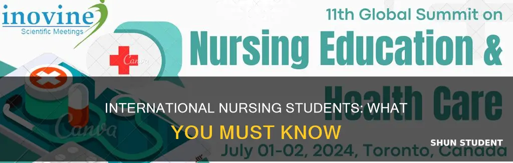 what international nursing students should know