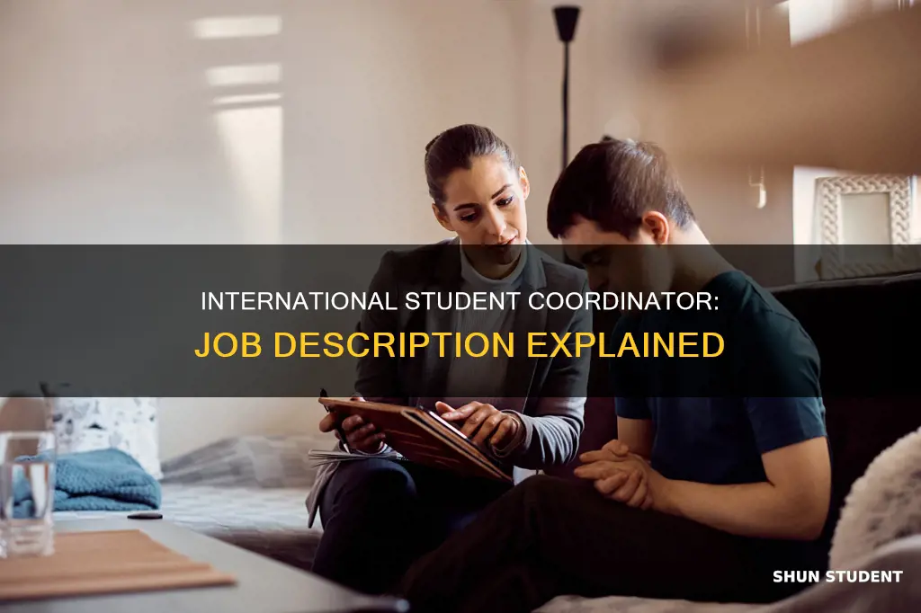 what international student coordinator job description