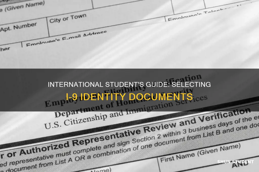 what international student select on i 9