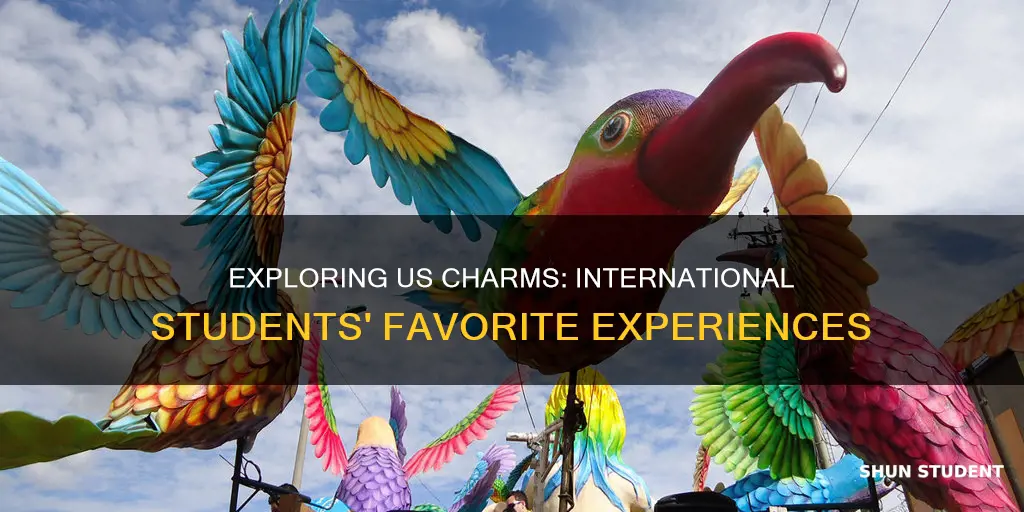 what international students enjoyed the most about the us