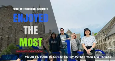 Exploring International Students' Most Enjoyable Experiences