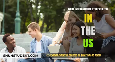International Students: Their US Experience