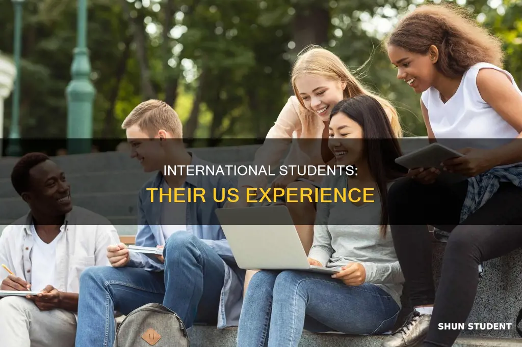 what international students feel in the us