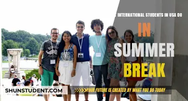 Summer Plans: International Students in the USA