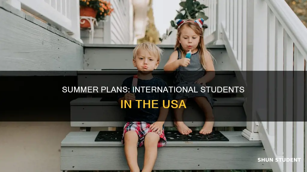 what international students in usa do in summer break
