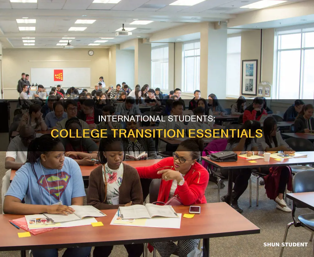 what international students need in order to transition to college