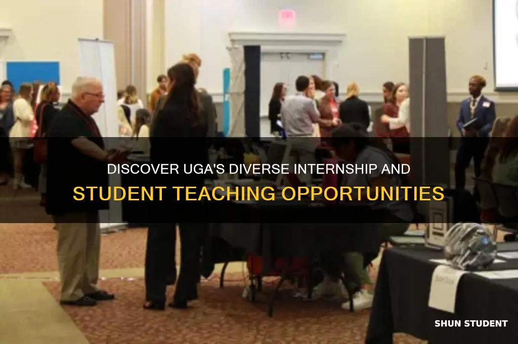 what internship or student teaching experiences does uga offer