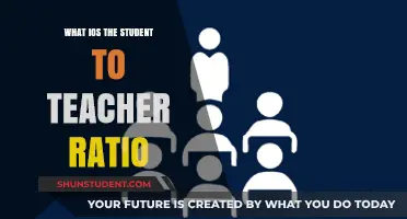 Understanding Student-Teacher Ratios: Impact on Learning and Classroom Dynamics
