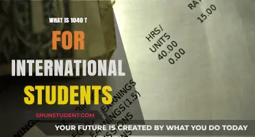 Understanding the 1040(T) Tax Form for International Students