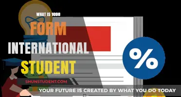 Understanding the 1098-T: A Guide for International Students