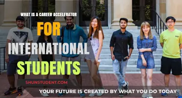 Career Accelerators: Launching International Students' Success