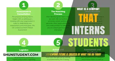 Internship Programs: A Student's Gateway to Success