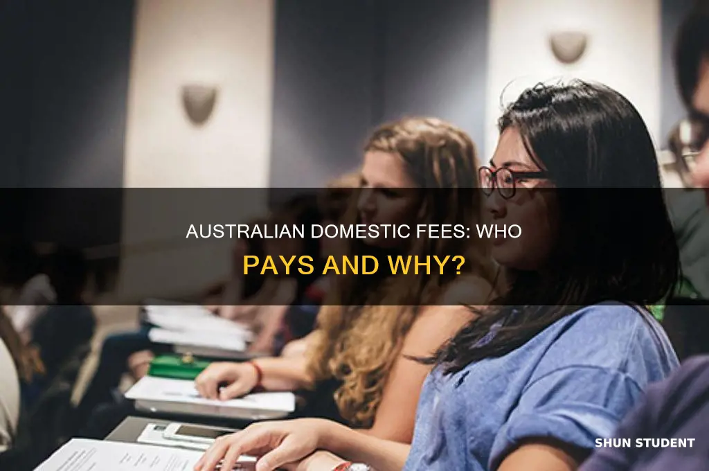 what is a domestic fee paying student australia