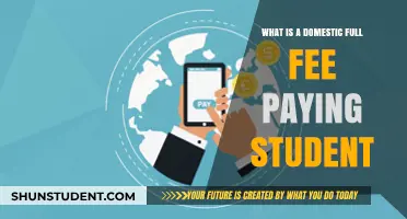 Who Qualifies as a Domestic Full Fee-Paying Student?