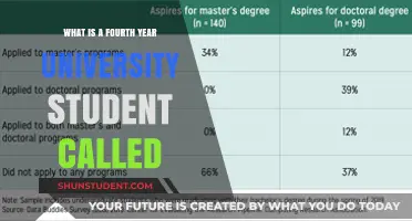Senior Year: The University's Fourth-Year Student Title