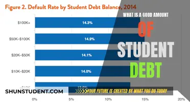 Navigating Student Debt: Finding a Balance for Your Financial Future