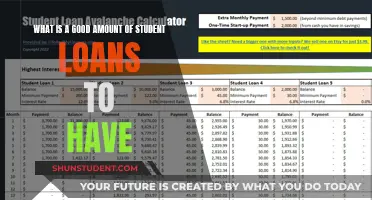 Smart Borrowing: Understanding the Ideal Student Loan Amount