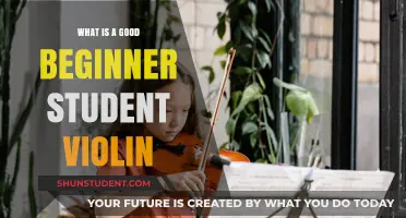 Choosing Your First Violin: A Beginner's Guide to Quality and Value