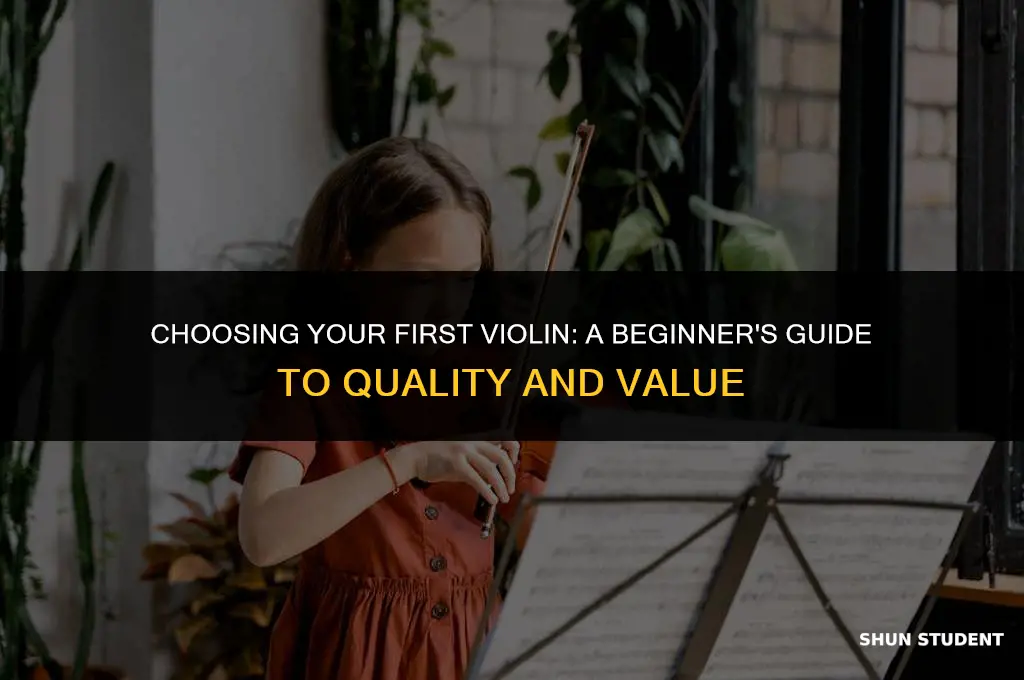 what is a good beginner student violin
