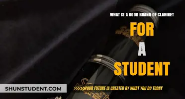 Finding the Perfect Clarinet: A Student's Guide to Quality Brands