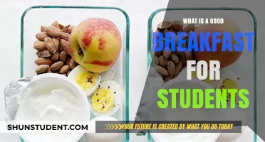 Fuel Your Day: The Ultimate Breakfast Guide for Students