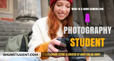 Capturing Dreams: The Ideal Camera for Aspiring Photographers