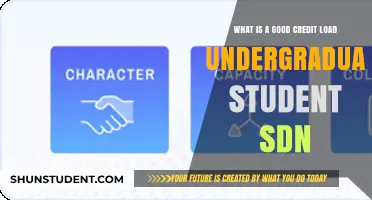 Managing Your Credit Load: A Guide for Undergraduate Students in SDN