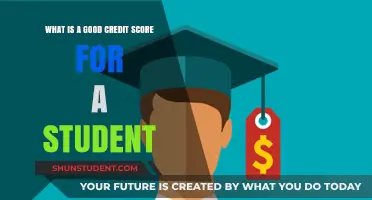 Decoding Credit Scores: What's Ideal for Students?