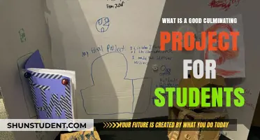 Engaging Culminating Projects for Students: A Guide to Meaningful Learning Experiences