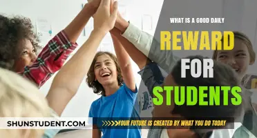 Motivating Minds: Effective Daily Rewards for Students