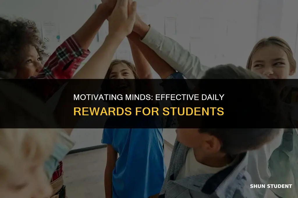 what is a good daily reward for students