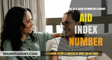 Decoding the Ideal Estimated Student Aid Index Number