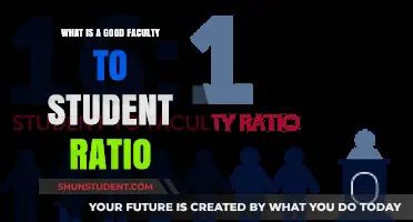 Optimizing Learning: The Ideal Faculty-to-Student Ratio for Academic Success