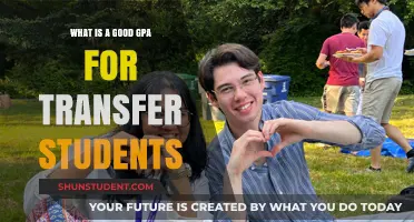 Transfer Student Success: What GPA Should You Aim For?