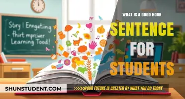 Crafting Engaging Introductions: The Art of the Perfect Hook Sentence
