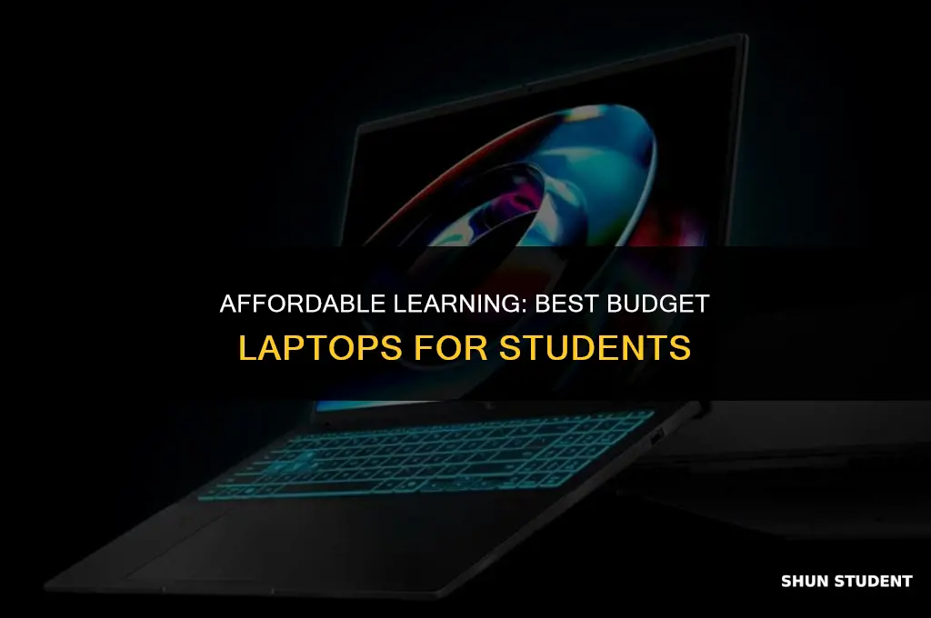 what is a good inexpensive lapton for students