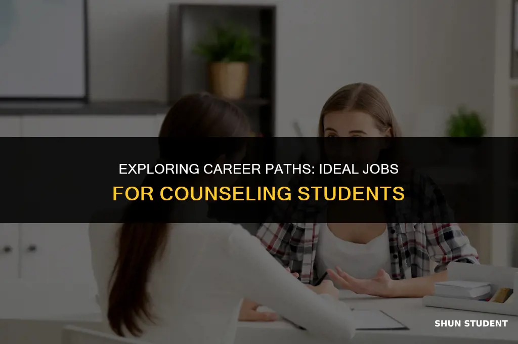 what is a good job for a counseling student