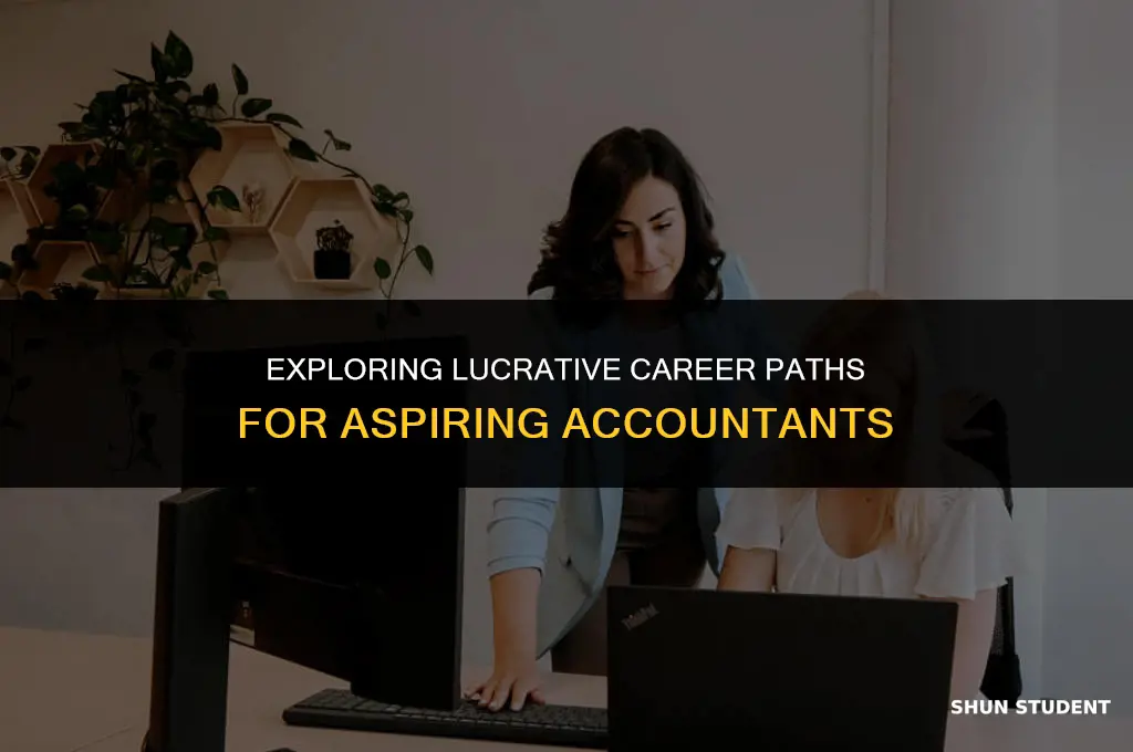 what is a good job for an accounting student