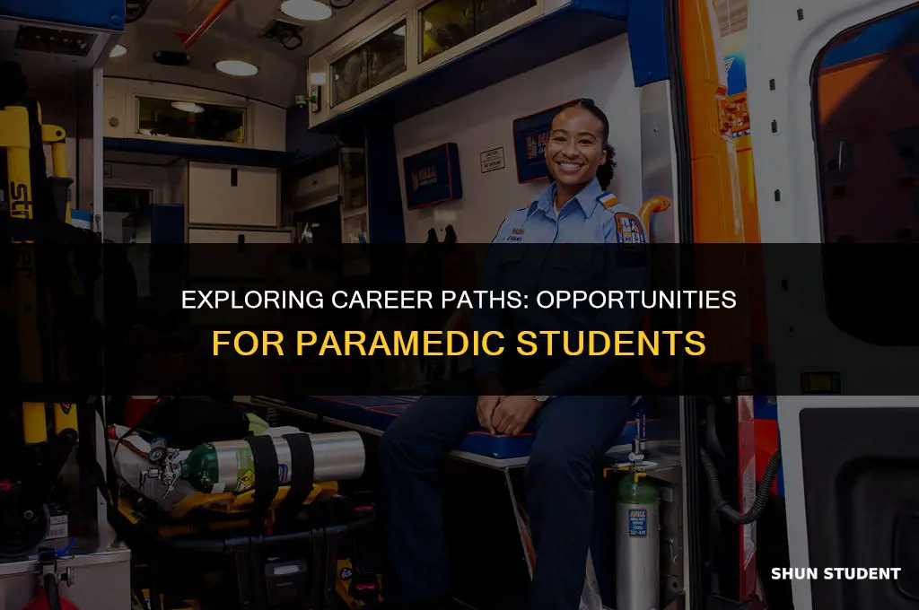 what is a good job for paramedic student