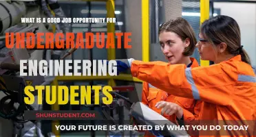 Exploring Lucrative Job Opportunities for Undergraduate Engineering Students