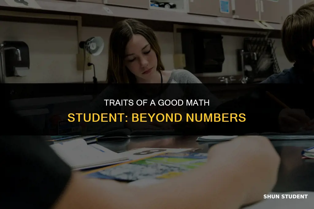 what is a good math student