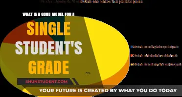 Predicting Academic Success: A Single Student Grade Model